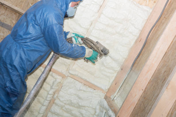 Types of Insulation We Offer in San Luis Obispo, CA